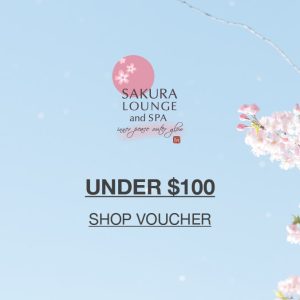Shop Voucher Under $100
